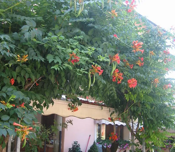 Ristorante Sterlina Grizzana