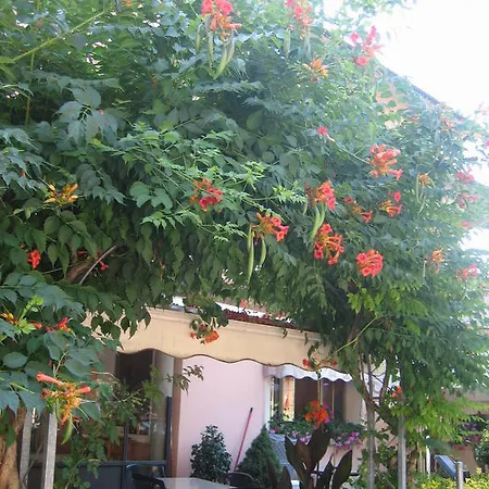 Ristorante Sterlina Grizzana