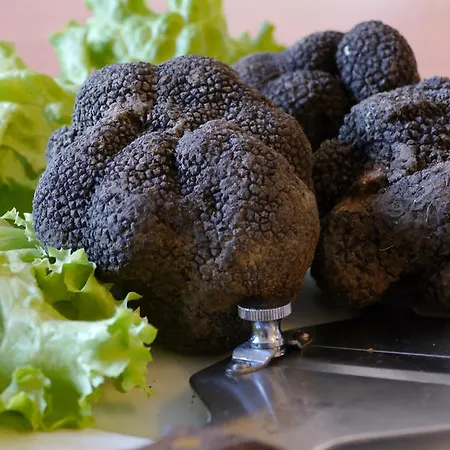 מלון Ristorante Sterlina Grizzana