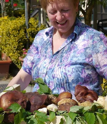 فندق Ristorante Sterlina 3*