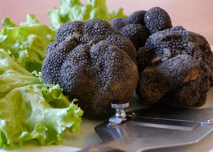 فندق Ristorante Sterlina Grizzana